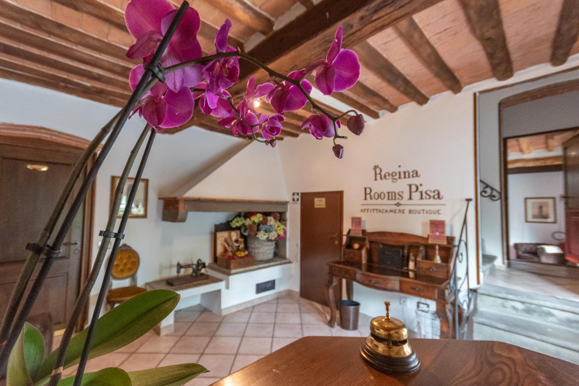 Regina Rooms Pisa Eksteriør billede